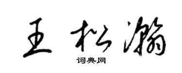 梁锦英王松瀚草书个性签名怎么写