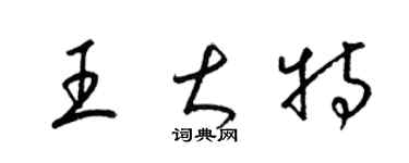 梁锦英王大特草书个性签名怎么写