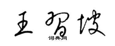 梁锦英王习坡草书个性签名怎么写