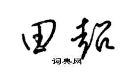 梁锦英田超草书个性签名怎么写