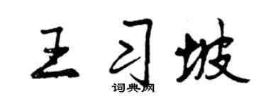 曾庆福王习坡行书个性签名怎么写