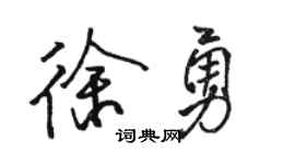 骆恒光徐勇行书个性签名怎么写