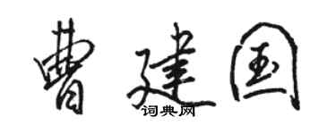 骆恒光曹建国行书个性签名怎么写