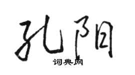 骆恒光孔阳行书个性签名怎么写