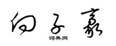 梁锦英向子豪草书个性签名怎么写