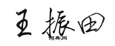 骆恒光王振田行书个性签名怎么写