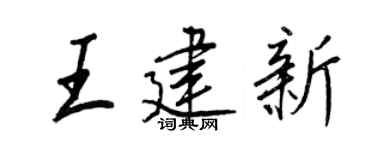 王正良王建新行书个性签名怎么写