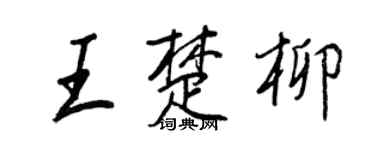 王正良王楚柳行书个性签名怎么写