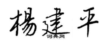 王正良杨建平行书个性签名怎么写