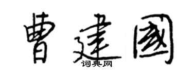 王正良曹建国行书个性签名怎么写