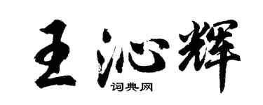 胡问遂王沁辉行书个性签名怎么写