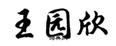 胡问遂王园欣行书个性签名怎么写