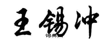 胡问遂王锡冲行书个性签名怎么写