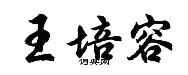 胡问遂王培容行书个性签名怎么写