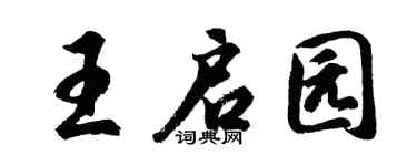 胡问遂王启园行书个性签名怎么写