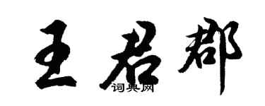 胡问遂王君郡行书个性签名怎么写