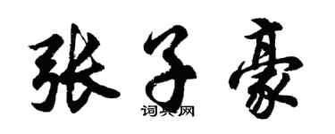 胡问遂张子豪行书个性签名怎么写