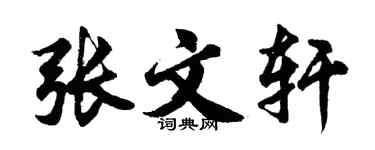 胡问遂张文轩行书个性签名怎么写