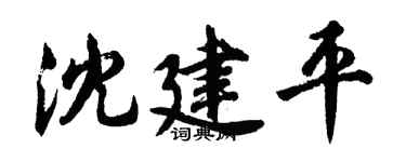 胡问遂沈建平行书个性签名怎么写