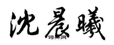 胡问遂沈晨曦行书个性签名怎么写