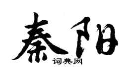 胡问遂秦阳行书个性签名怎么写