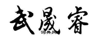 胡问遂武晟睿行书个性签名怎么写