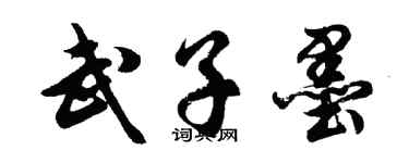 胡问遂武子墨行书个性签名怎么写