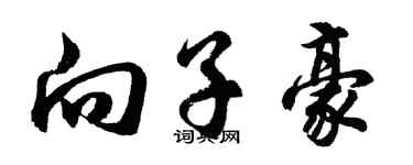 胡问遂向子豪行书个性签名怎么写