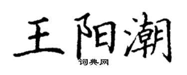 丁谦王阳潮楷书个性签名怎么写