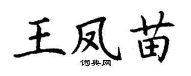 丁谦王凤苗楷书个性签名怎么写