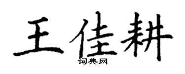 丁谦王佳耕楷书个性签名怎么写