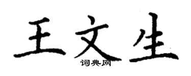 丁谦王文生楷书个性签名怎么写