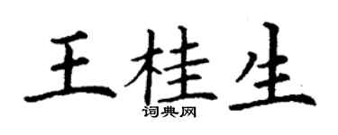 丁谦王桂生楷书个性签名怎么写