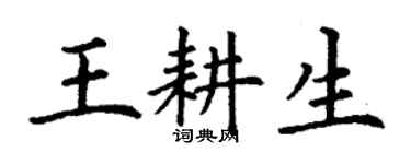 丁谦王耕生楷书个性签名怎么写