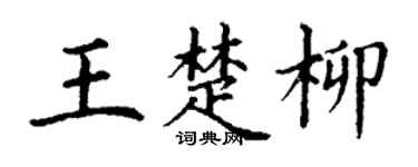 丁谦王楚柳楷书个性签名怎么写