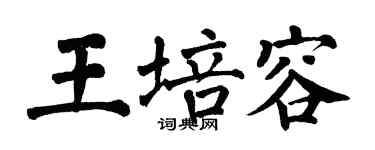 翁闿运王培容楷书个性签名怎么写