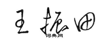 骆恒光王振田草书个性签名怎么写