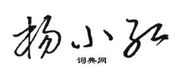 骆恒光杨小红草书个性签名怎么写