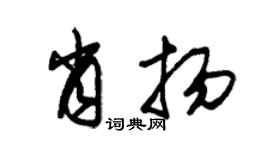 朱锡荣肖扬草书个性签名怎么写