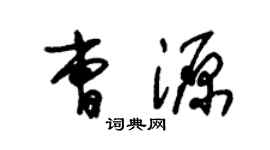 朱锡荣曹源草书个性签名怎么写