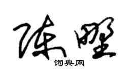 朱锡荣陈野草书个性签名怎么写