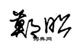 朱锡荣郑昭草书个性签名怎么写