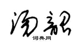 朱锡荣汤韶草书个性签名怎么写