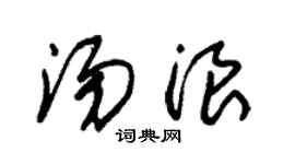 朱锡荣汤浪草书个性签名怎么写