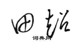 骆恒光田超草书个性签名怎么写