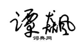 朱锡荣谭飙草书个性签名怎么写