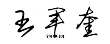 朱锡荣王军奎草书个性签名怎么写