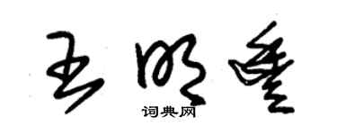 朱锡荣王明丰草书个性签名怎么写