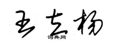 朱锡荣王立杨草书个性签名怎么写