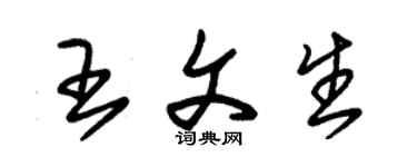 朱锡荣王文生草书个性签名怎么写